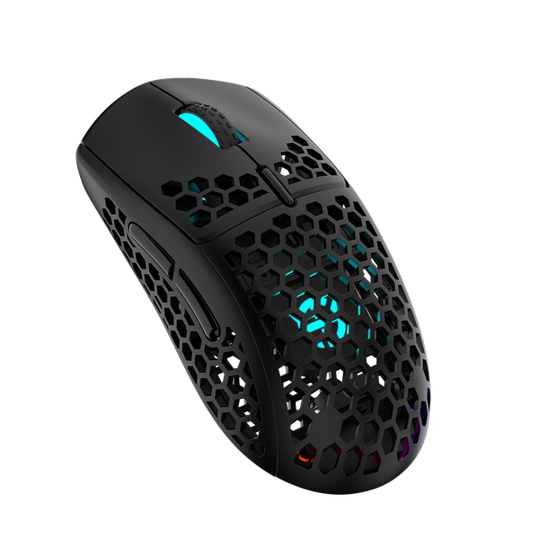 competitive gaming mouse